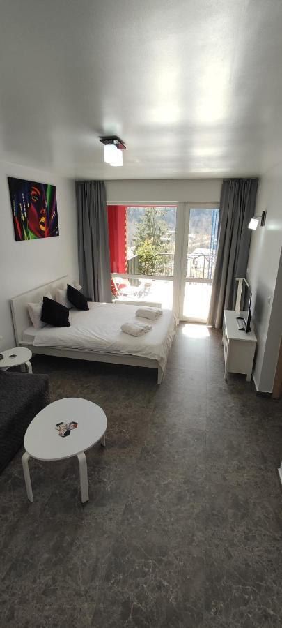 Belle View Sinaia-Free Parking Διαμέρισμα Εξωτερικό φωτογραφία