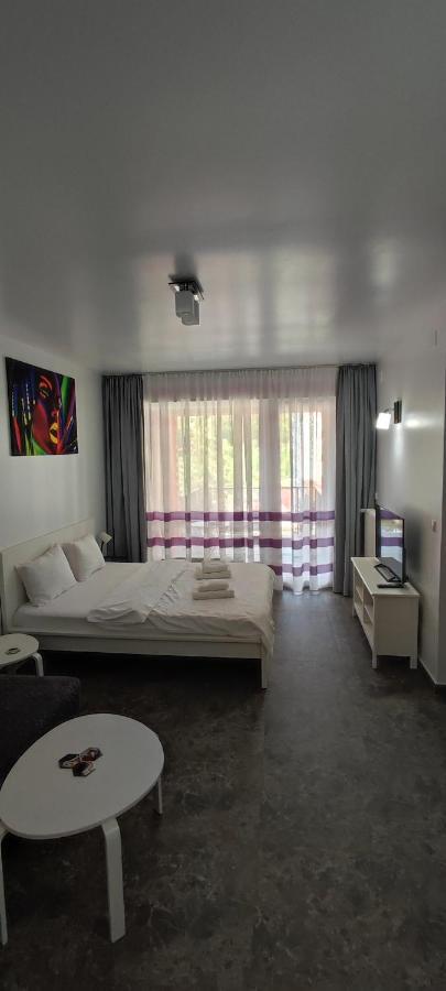 Belle View Sinaia-Free Parking Διαμέρισμα Εξωτερικό φωτογραφία